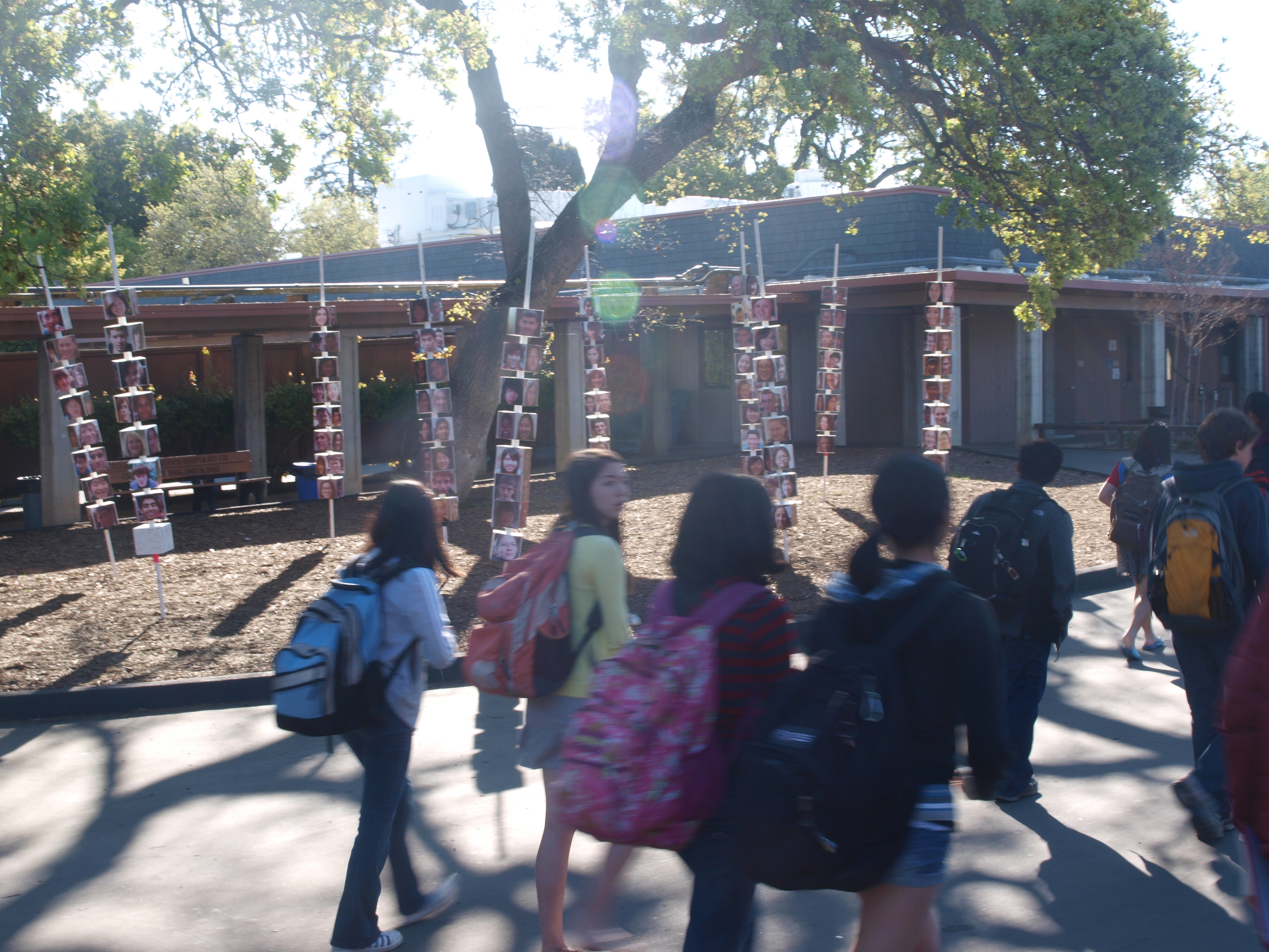 Not In Our Schools installation